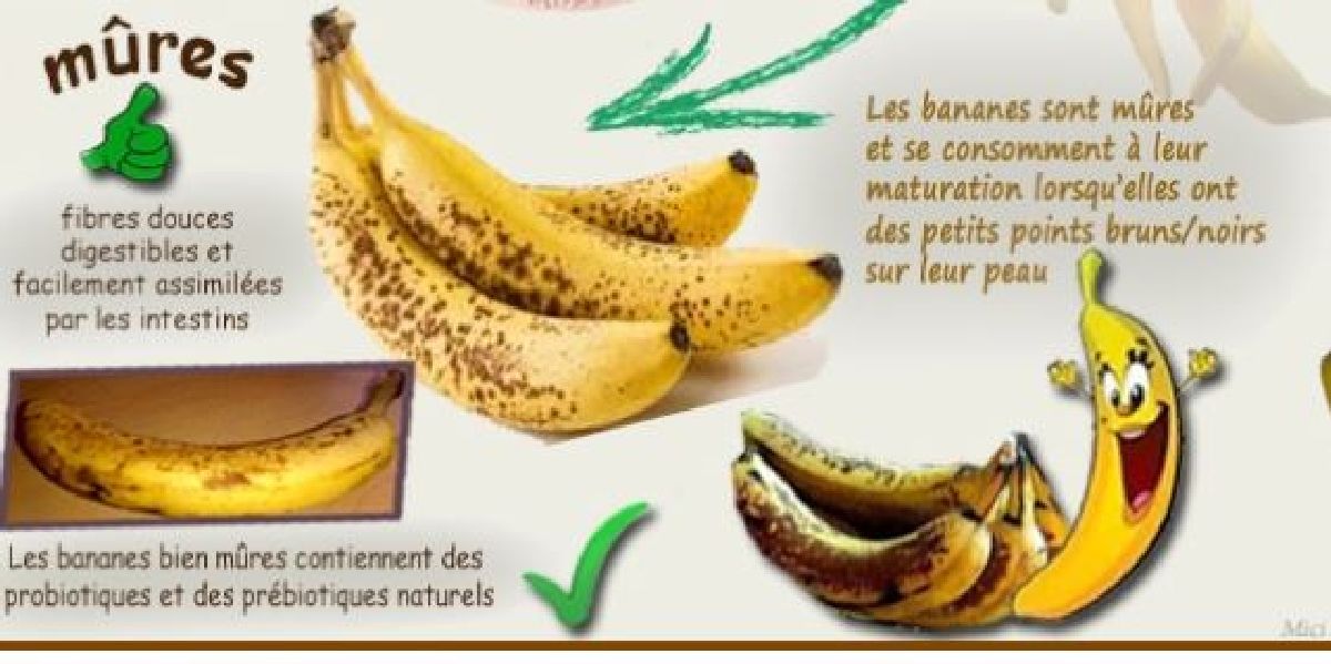 Voici ce qui se passe dans votre corps si vous consommez 2 bananes par jours pendant un mois.